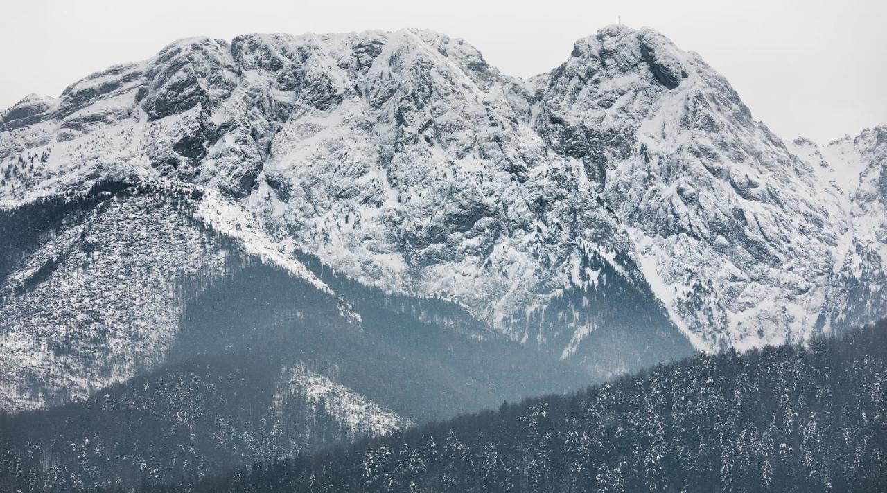 Szymaszkowa 3 By Homeprime Zakopane Exteriör bild
